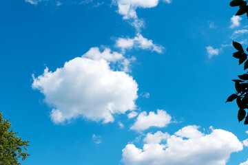 Dense ascending clouds on a blue sky in the sun. Blurry fragments of tree foliage around the edges.