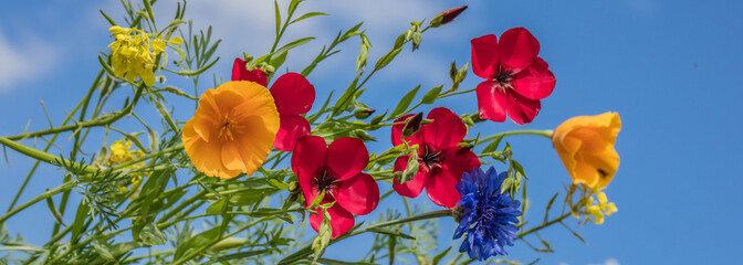 blumen