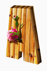 Volume letter A for designing a project from natural materials with pink peony