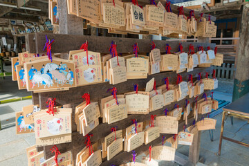 Traditional wooden prayer tablet (Ema) at Kotohiragu Shrine (Konpira Shrine) in Kotohira, Kagawa, Japan.
