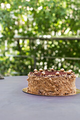Chocolate cake, a beautifully decorated cake, a piece of cake.