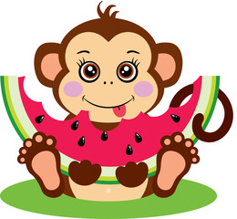Cute monkey sitting eating a slice of watermelon
