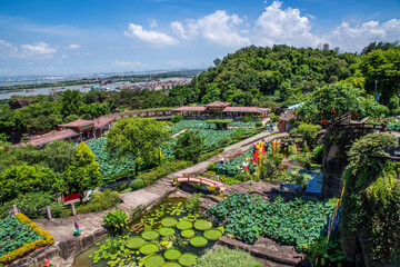 Lotus Pond, Lianhuashan Park, Panyu, Guangzhou, China