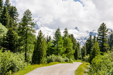 Fototapeta premium Val Roseg, Piz Roseg, Ova da Roseg, Rosegbach, Lej da Vadret, Piz Sella, Piz Glüschaint, Sellagletscher, Wanderweg, Berninagruppe, Oberengadin, Murtèl, Alpen, Sommer, Graubünden, Schweiz