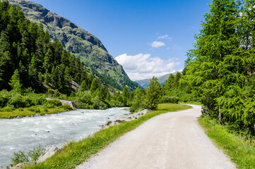 Val Roseg, Ova da Roseg, Rosegbach, Rosegtal, Wanderweg, Wald, Waldweg, Pferdekutsche, Kutschenfahrt, Berninagruppe, Oberengadin, Pontresina, Gletscher, Alpen, Sommer, Graubünden, Schweiz