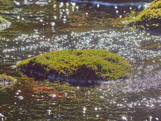 stones in the river. summer
