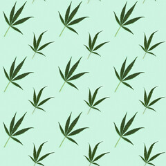 Fototapeta premium Seamless regular creative pattern with natural green leaves from Cannabis plant. Printing on fabric, wrapping paper.