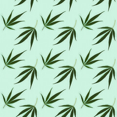 Obraz premium Seamless regular creative pattern with natural green leaves from Cannabis plant.