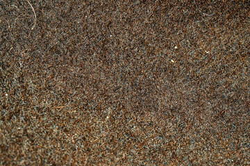 Abstract background and texture from a close-up of a felt cloth, macro