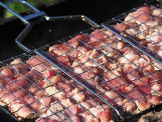 barbecue on the grill. summer