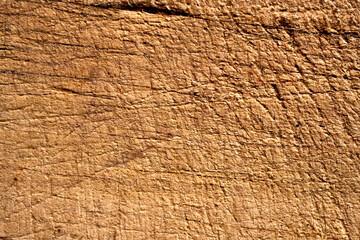 Abstract background and texture from a close-up of an old scratched breakfast board, warm colors, macro