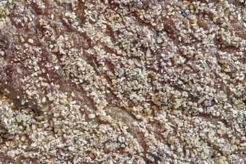 Abstract background and texture from a close-up of a bread, macro