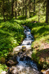 Val Roseg, Ova da Roseg, Rosegbach, Rosegtal, Wanderweg, Wald, Waldweg, Pferdekutsche, Kutschenfahrt, Berninagruppe, Oberengadin, Pontresina, Gletscher, Alpen, Sommer, Graubünden, Schweiz