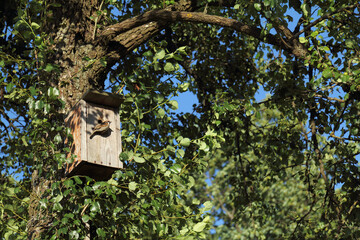 little sparrow sits on a pole at the entrance to the house on the background of a large tree. bird house in the village