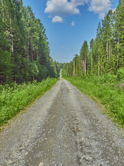 road in the forest. summer