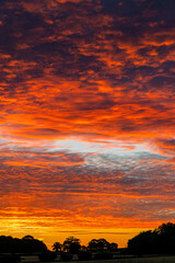 red sunset over the sky