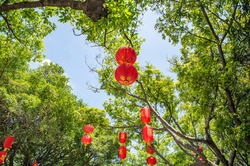 Red lanterns are hung in Lianhuashan Park, Panyu, Guangzhou, China