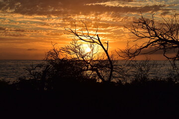 Fototapeta premium sunset on the lake