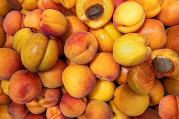 Naklejka na ściany i meble Background of many ripe apricots