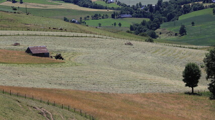 Fototapeta premium estives du Cantal