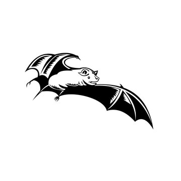 Megabat Fruit Bat Old World Fruit Bat or Flying Fox in Flight Woodcut Retro Black and White
