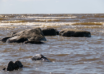 Fototapeta premium summer landscape with rocks by the sea, baltic sea coast
