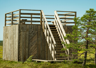 summer landscape from the bog, wooden tower in the bog, swamp characteristic vegetation, Nigula bog, Estonia