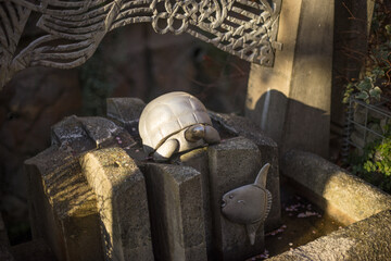 Fototapete bei efototapeten.de bestellen   