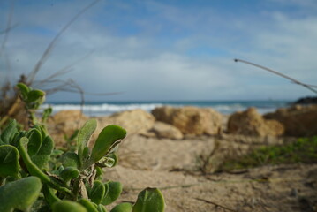 the beaches of Mandurah and Busselton in Western Australia