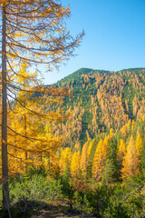 Magical nature in Dolomites at the national park Three Peaks (Tre Cime, Drei Zinnen) during sunset and golden Autumn, South Tyrol, Italy.