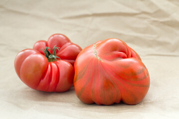 Two red fresh ripe farm tomatoes. Heirloom, Brandywine, Spanish Raf tomato from local farmer's market.