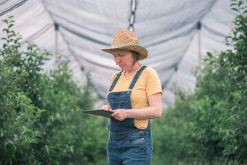 Female farmer using tablet computer in organic apple fruit orchard