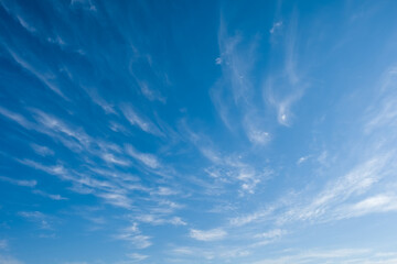 Ciel bleu avec des nuages éfilés pendant l'été - obrazy, fototapety, plakaty