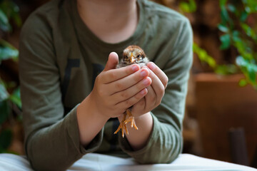 a boy in green clothes in daylight against a background of wooden logs