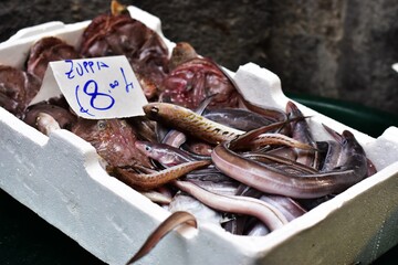 Pescado fresco en el mercado