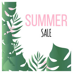 Summer sale banner poster template with green monstera and palm leaves isolated