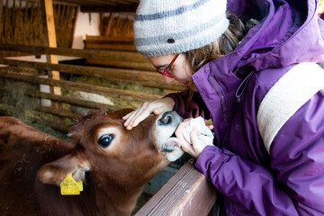Young woman feeding,cuddling and hugging a calf in a farm