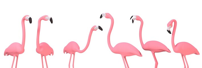 Flamants roses sur fond blanc - rendu 3D