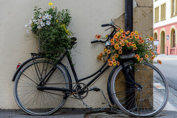 Rusty old bicycle decorated with colorful flowers against a hous wall in Murten, Switzerland