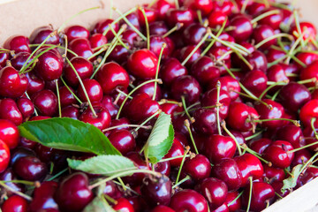 bunch of cherries