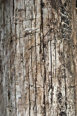 Old board