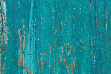 Rustic wood texture or background with scratched turquoise paint.