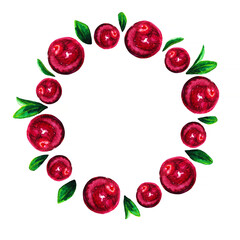 Cranberry berries circle frame. Cowberry hand-drawn painting watercolor frame pattern. Berry illustration with copy space.