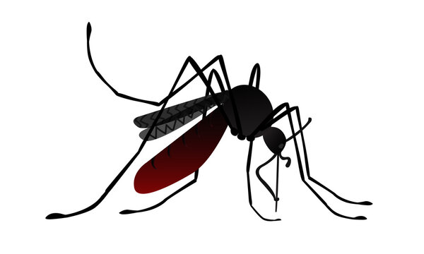 Isolated image of cartoon mosquito. Side view