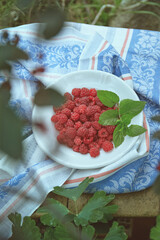 Raspberries on a plate in the garden, rustic style