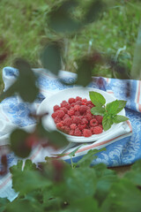 Raspberries on a plate in the garden, rustic style