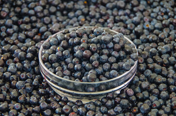 blueberries in a bowl