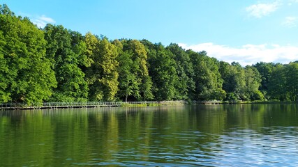 Silent lake with green trees on the edge, on a sunny day.