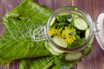 Fermented homemade vegetables: cucumber, horseradish and garlic. Top view.