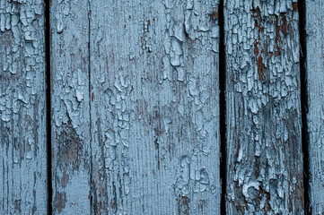 Texture of the old cracked wooden board with peeling paint. Noble vintage grunge background